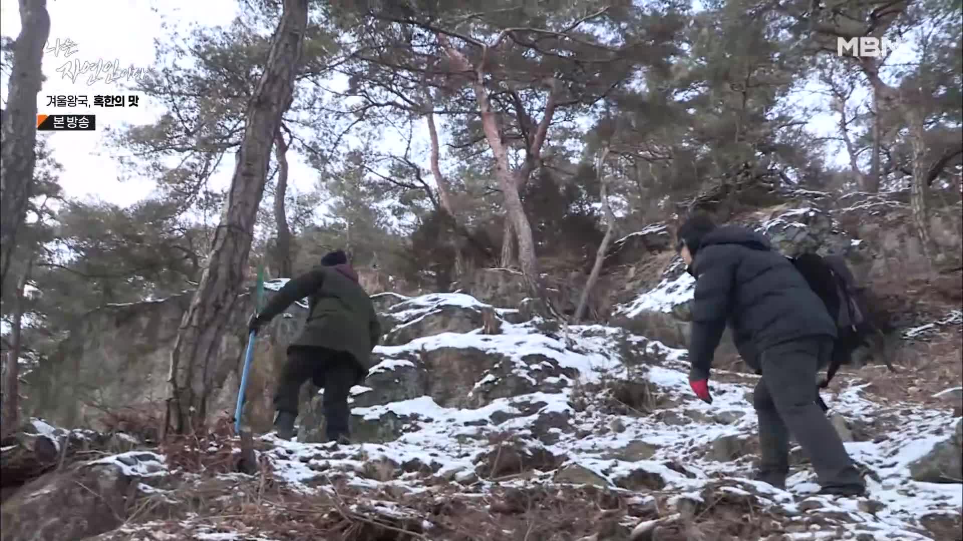 나는 자연인이다 536회