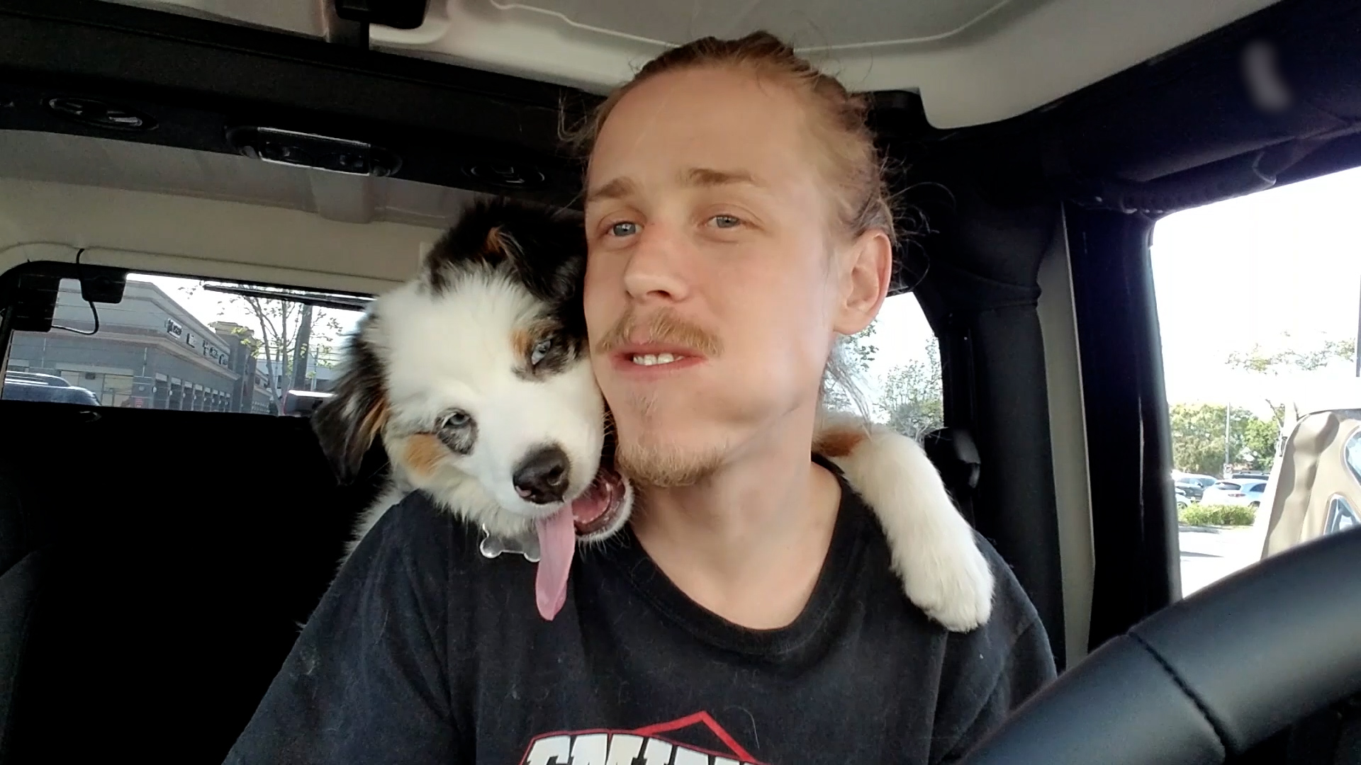 Best Pets of the Month