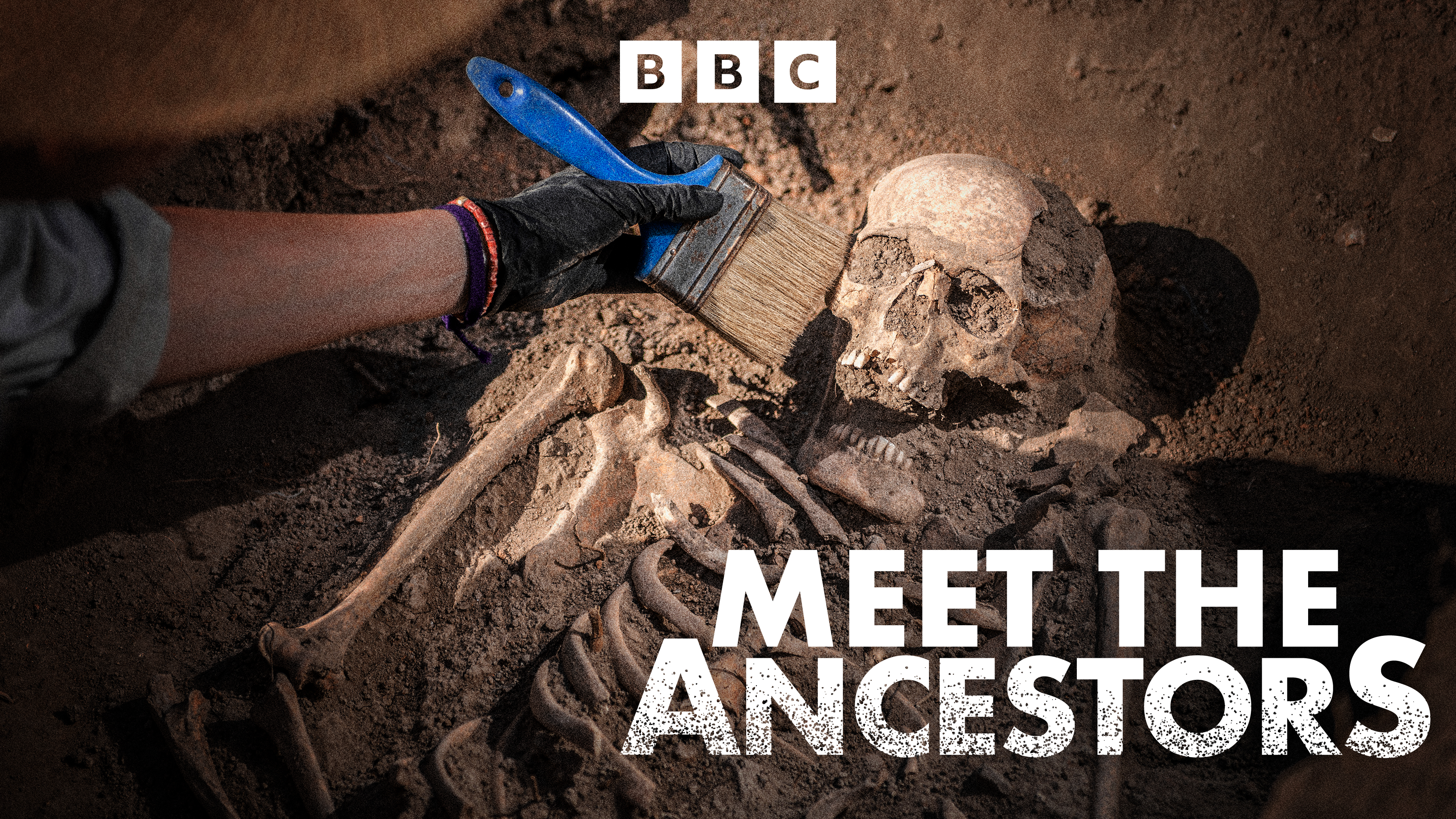 Meet the Ancestors