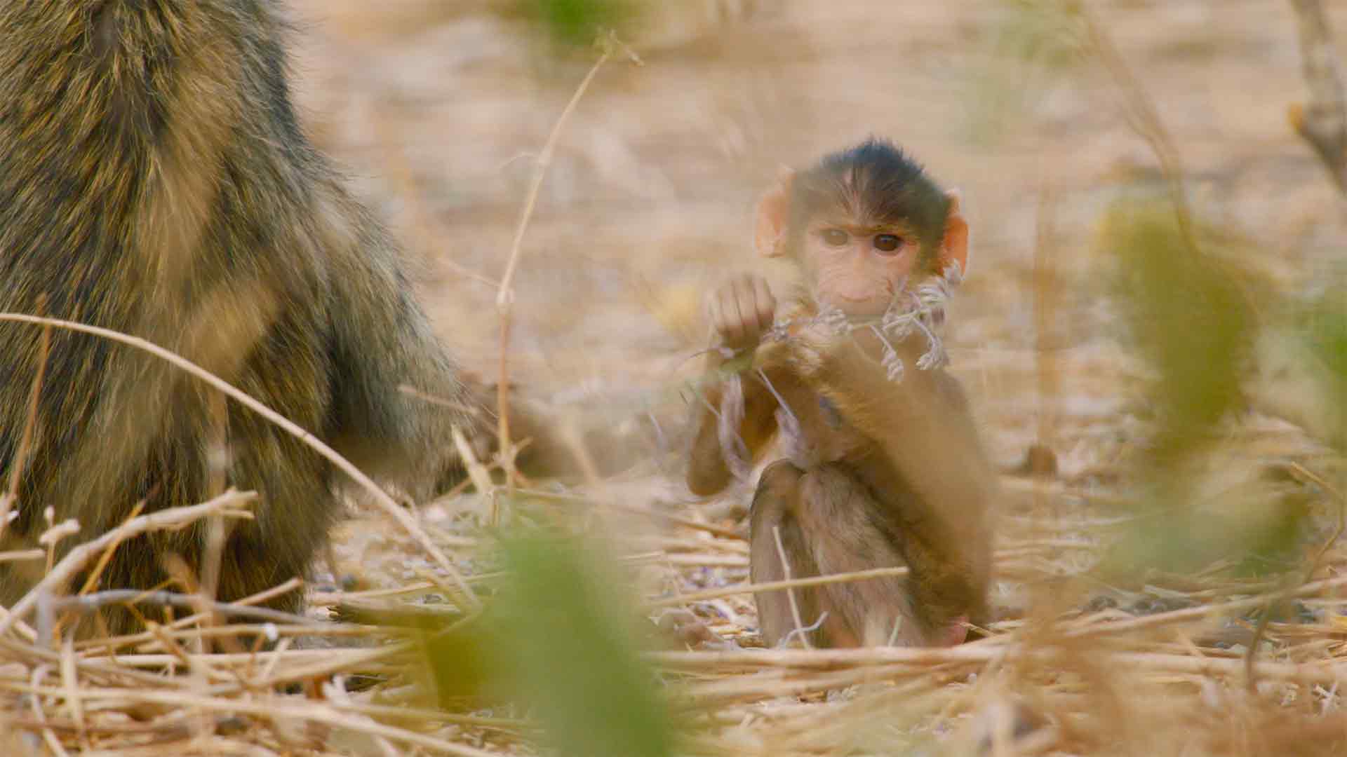 La vallée de l'eau et du feu