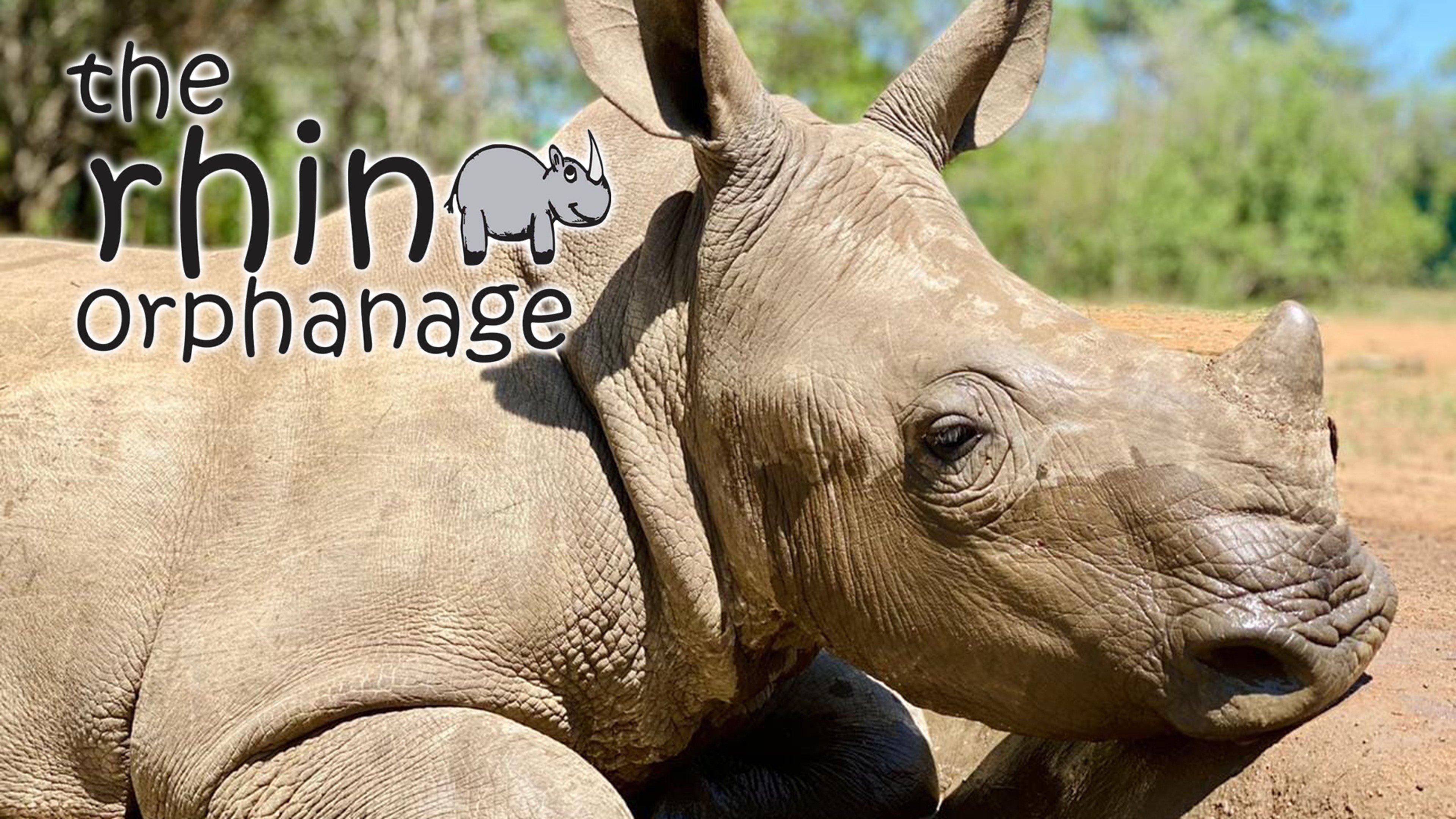 Rhino Orphanage