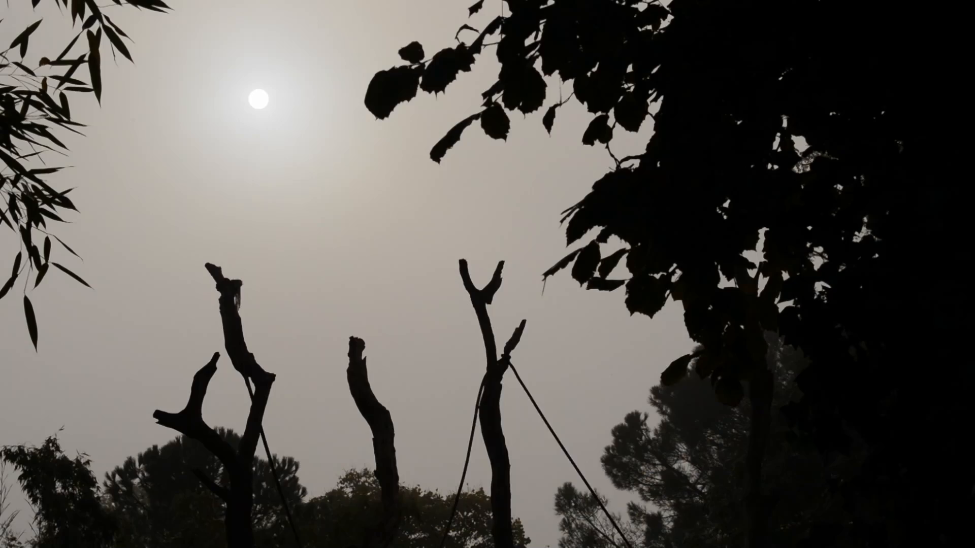 Zoo : Le défi de demain