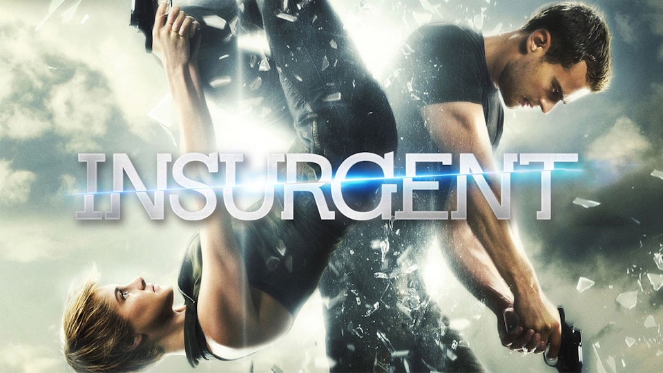 The Divergent Series