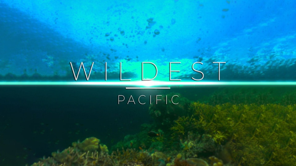 Wildest Places: Pacific