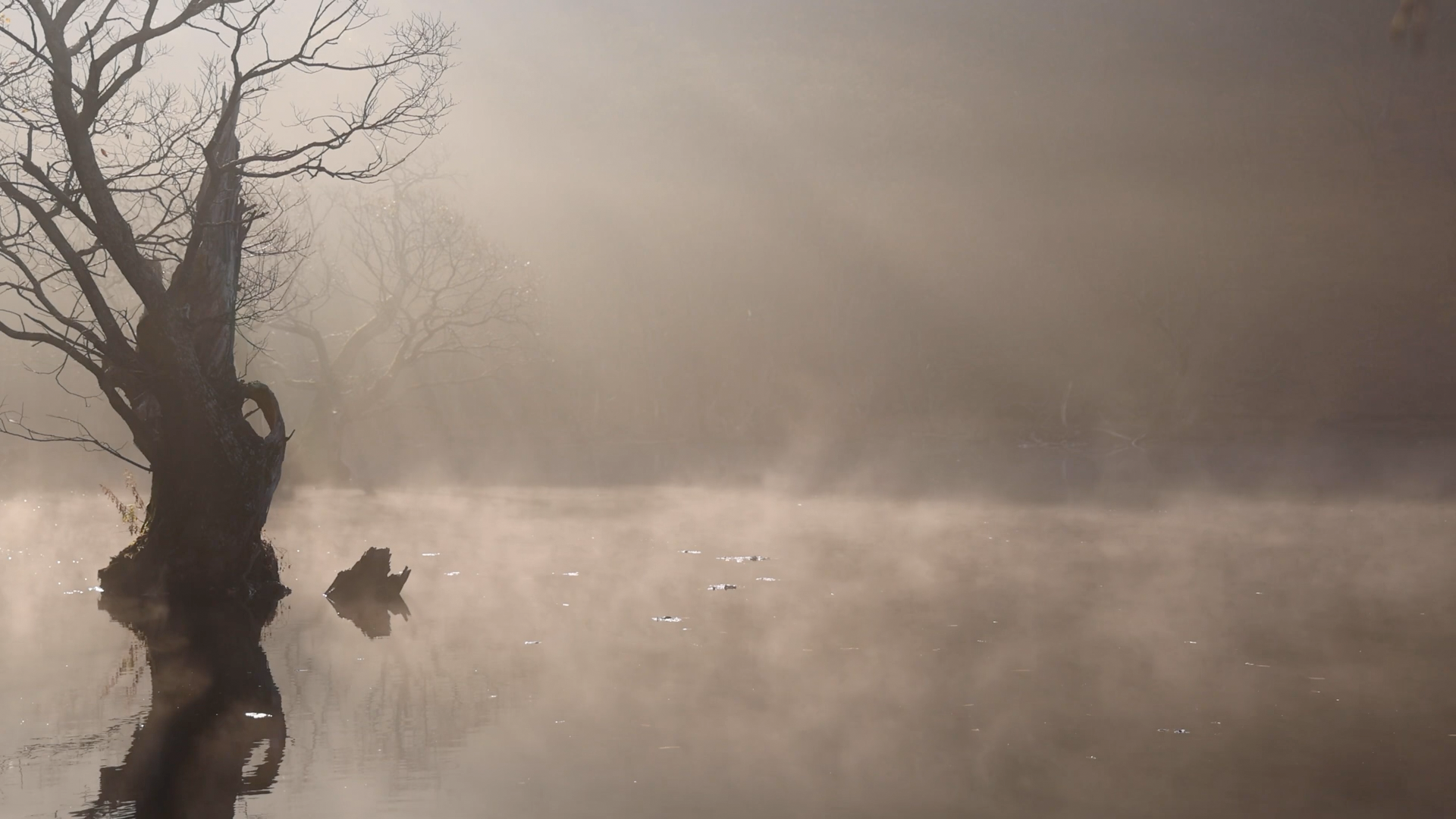 [신비롭고 아름다운 비경] 청송 주산지 EP.3