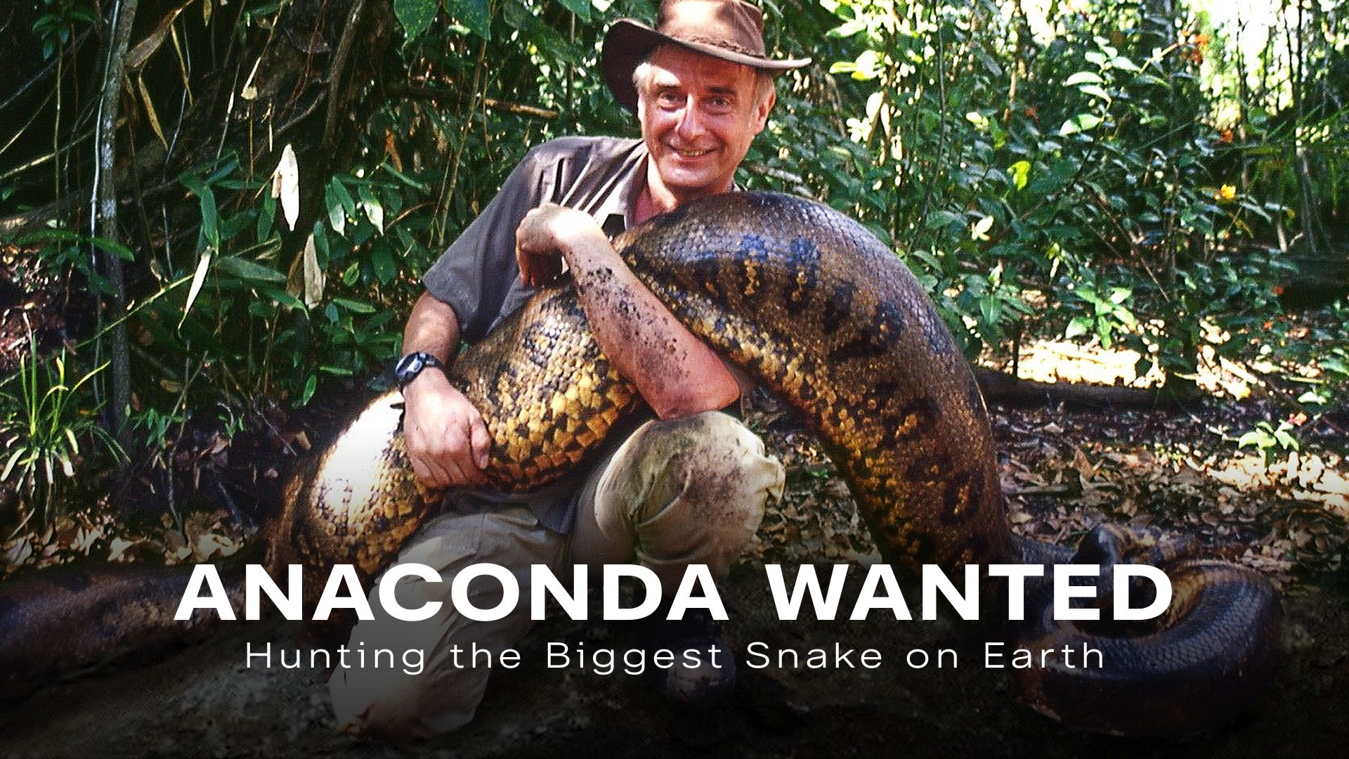 Anaconda Wanted