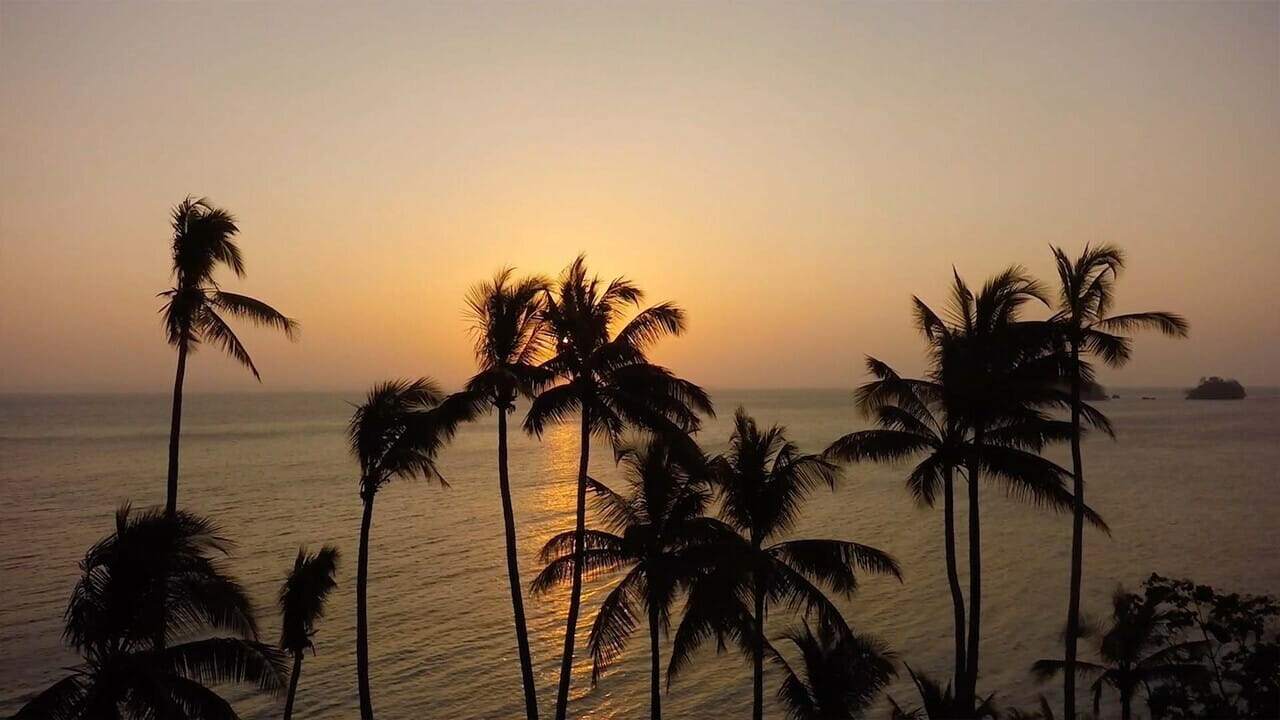 Top Million Dollar Agent