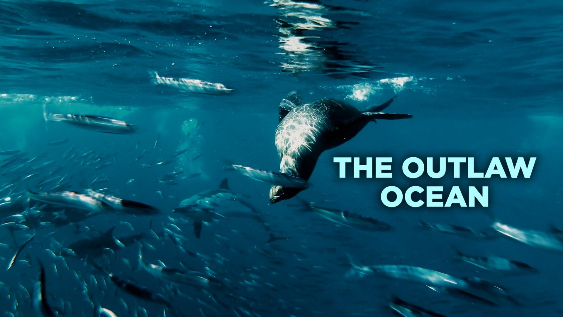 The Outlaw Ocean