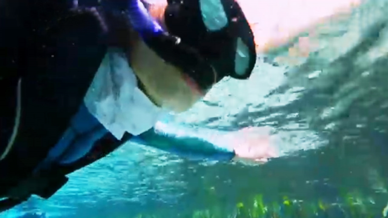 김병만의 정글의 법칙 116회