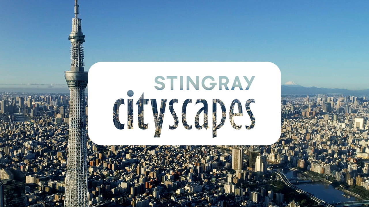Stingray CityScapes
