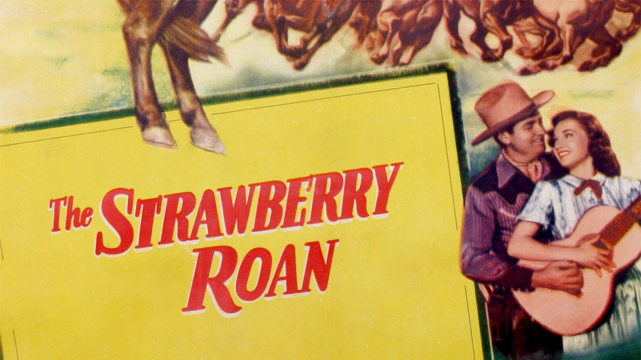 The Strawberry Roan