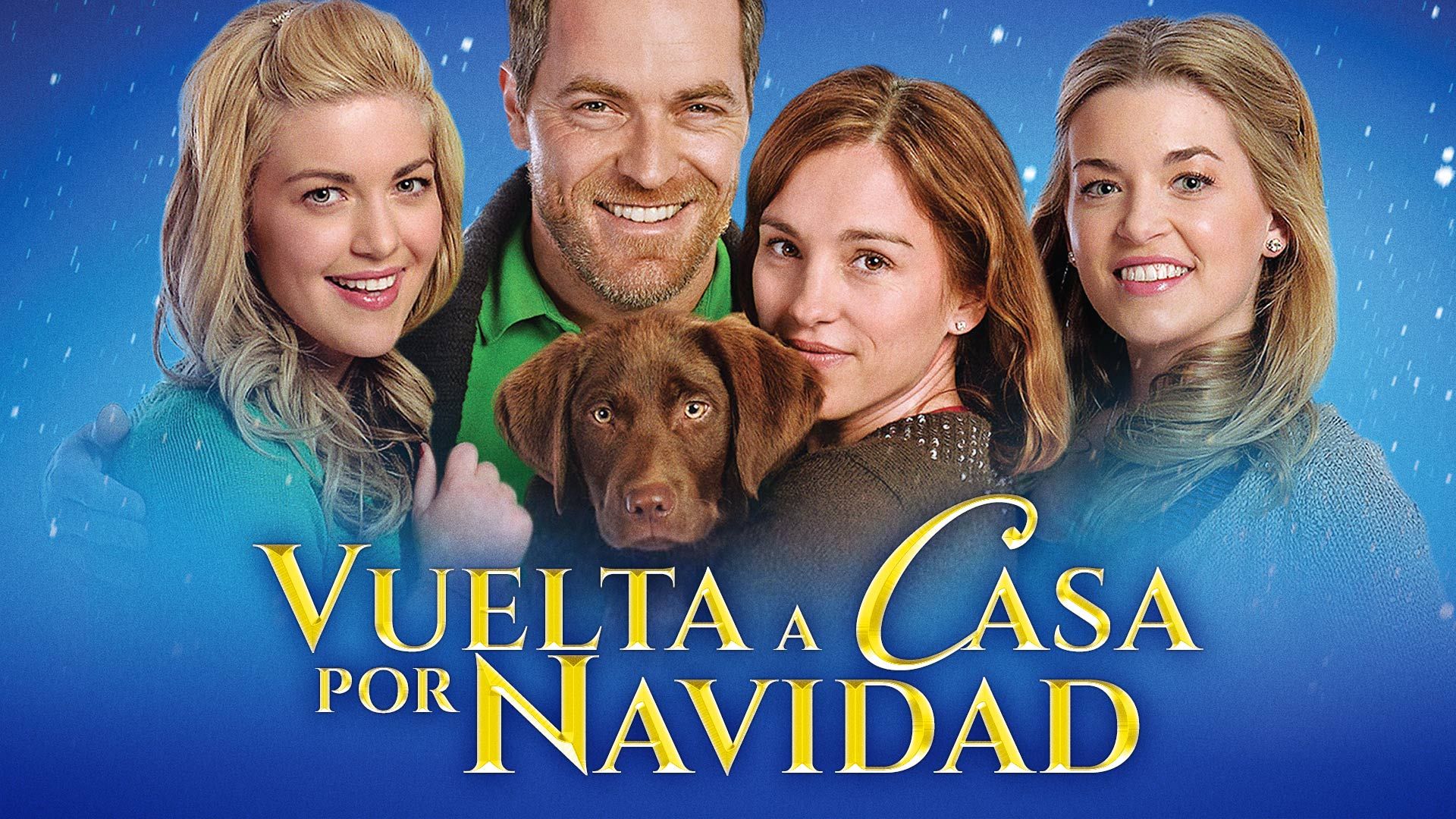 Vuelta a casa por Navidad
