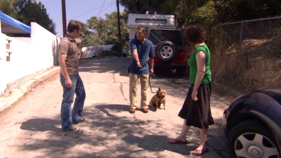 El encantador de perros