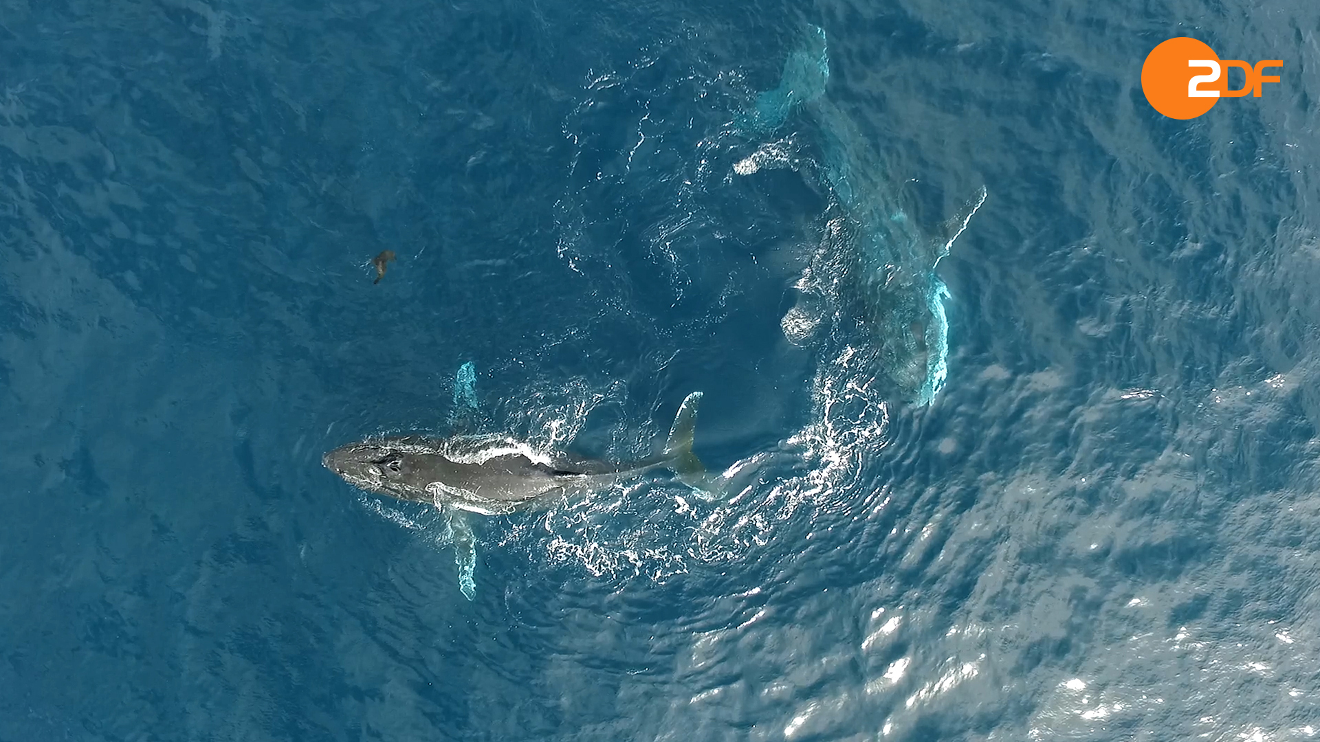 Afrika von oben, Staffel 1