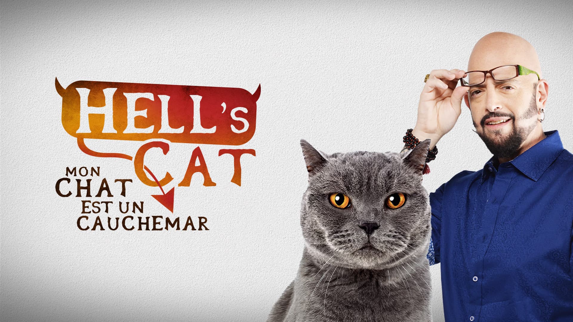 Hell's cat : mon chat est un cauchemar
