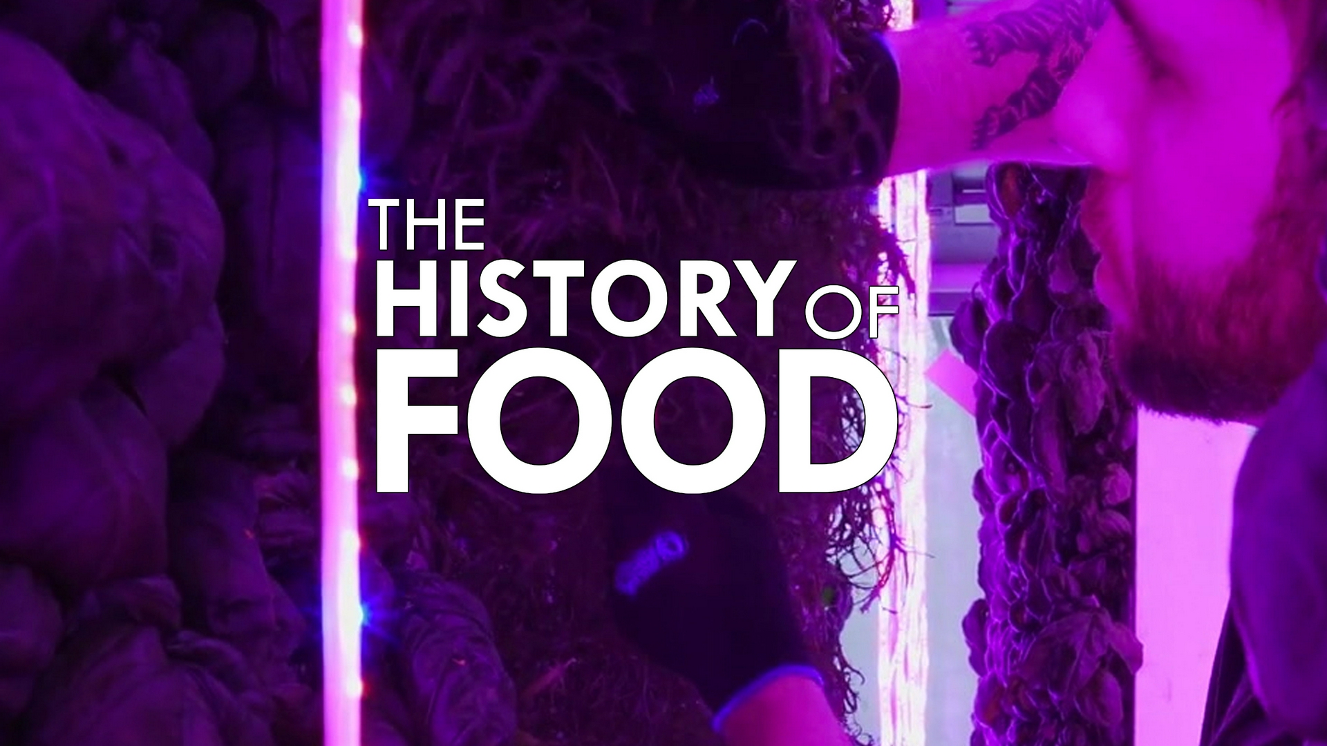 El futuro de la comida