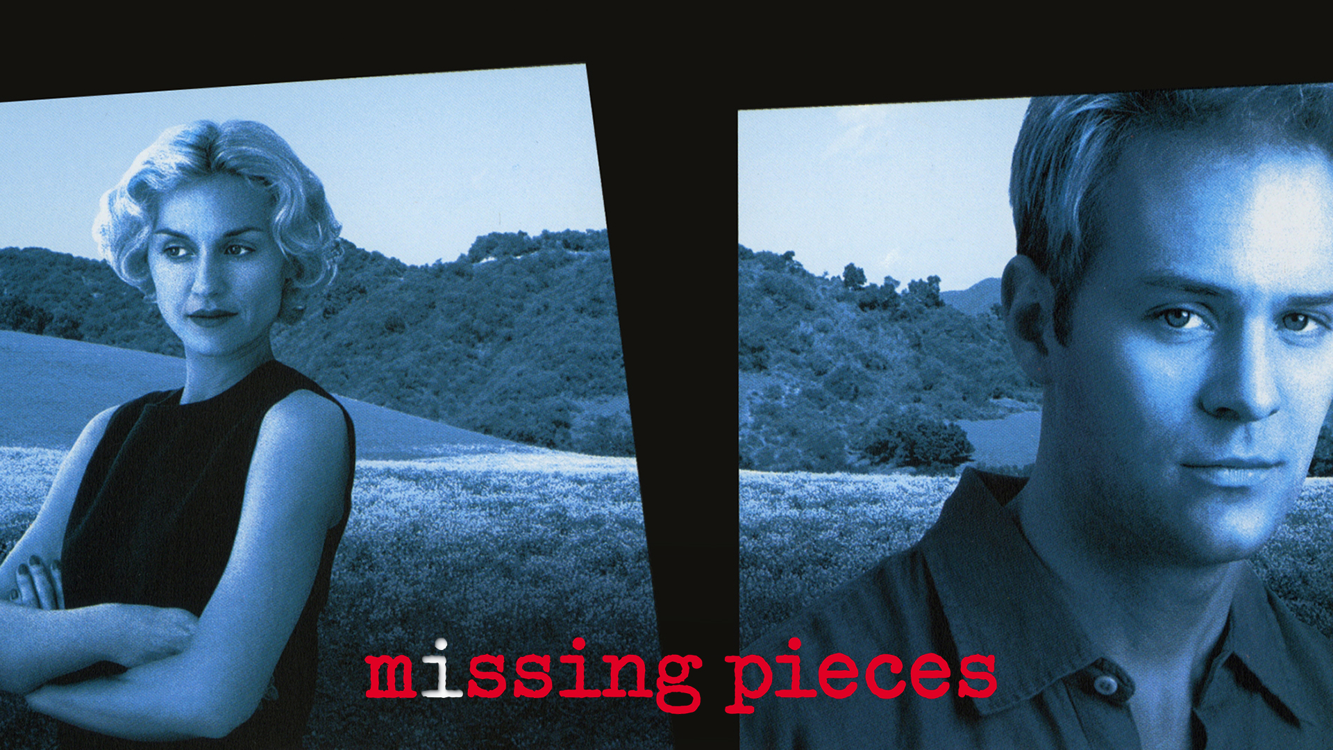 Missing Pieces