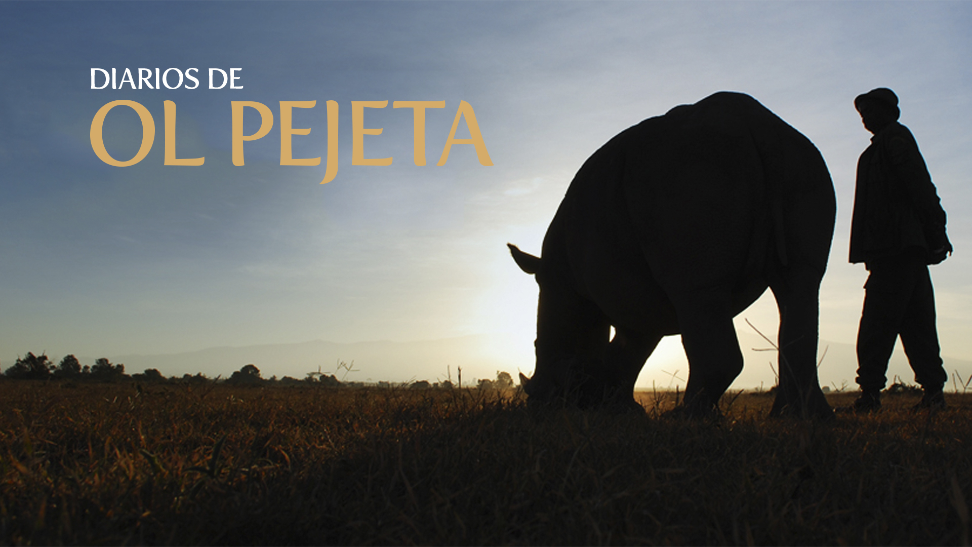 Diarios de OI Pejeta