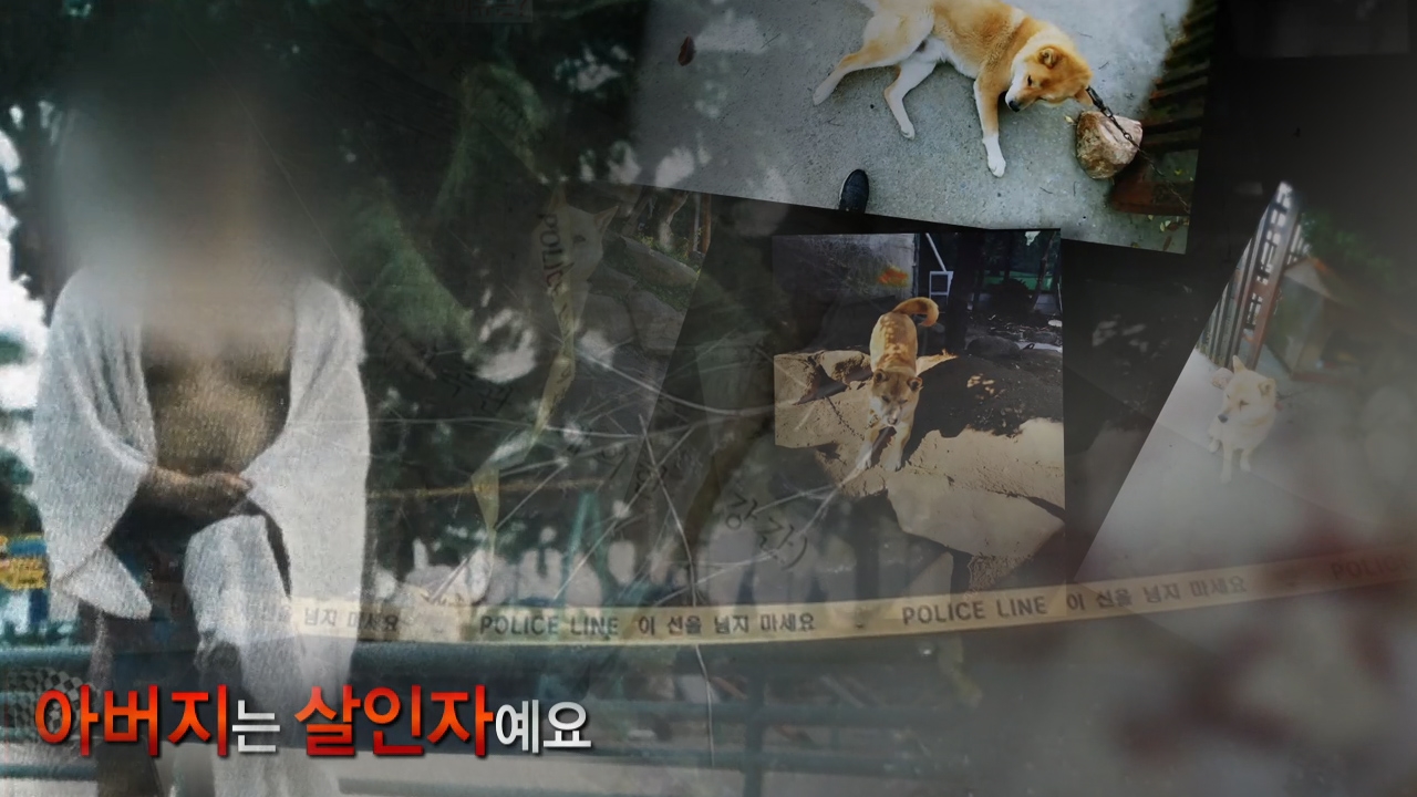 궁금한 이야기 Y 444회