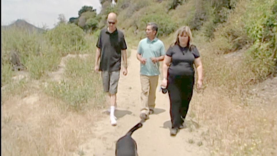 El encantador de perros