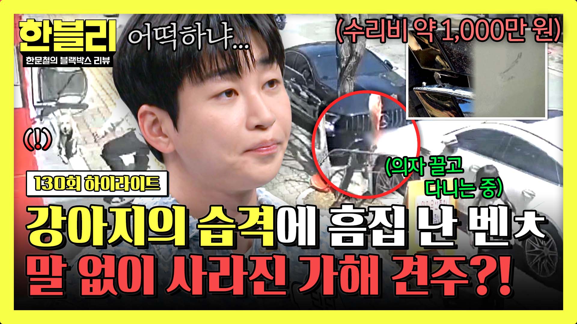 ※견주를 찾습니다※ 강아지의 습격에 피해 입은 벤X 2대 | 130회