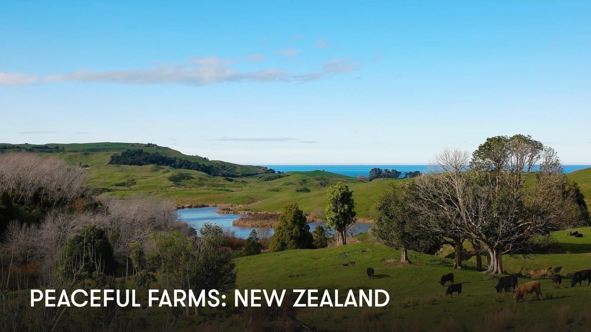 Peaceful Farms: New Zealand