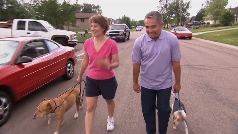 El encantador de perros