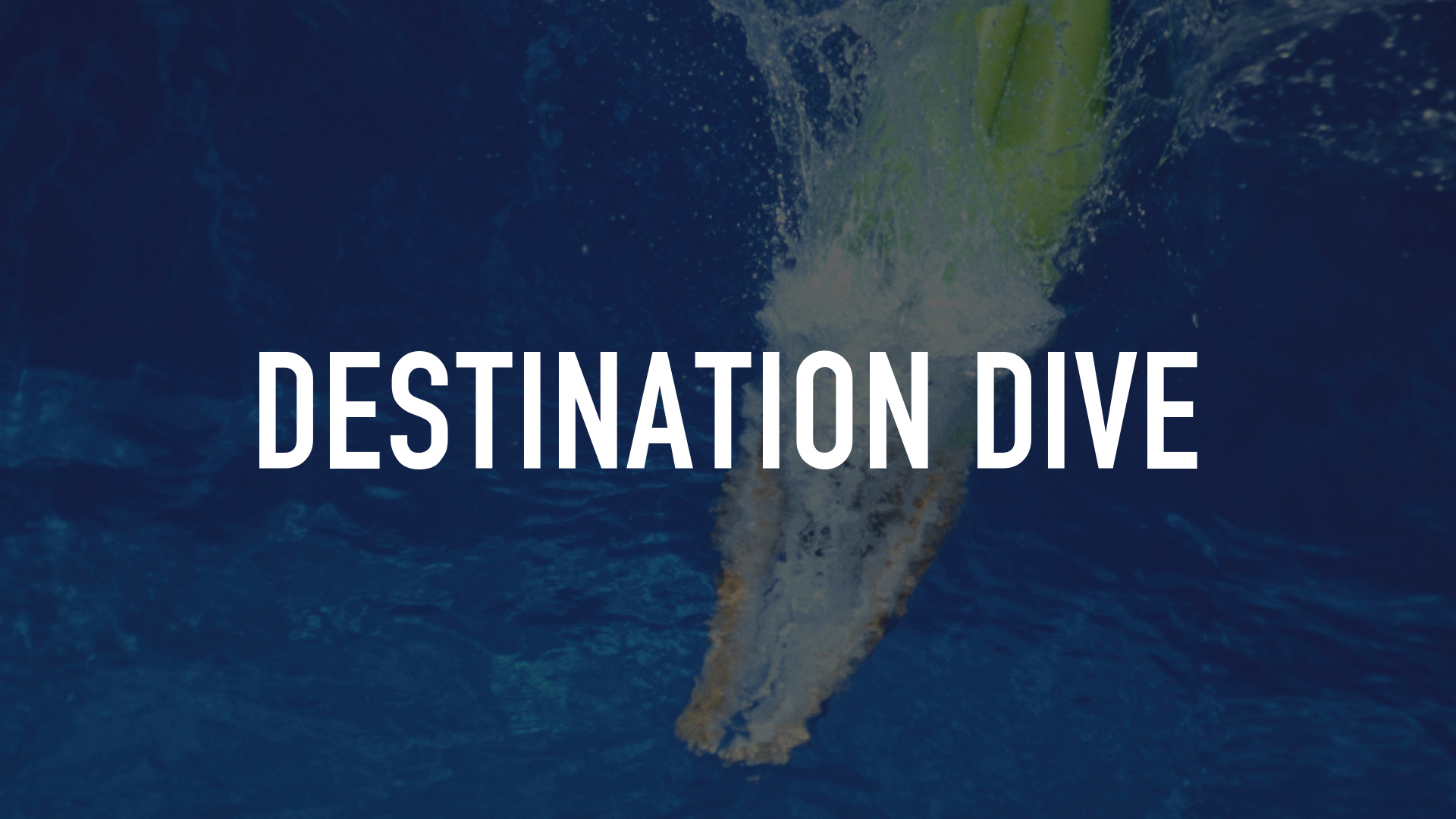 Destination Dive