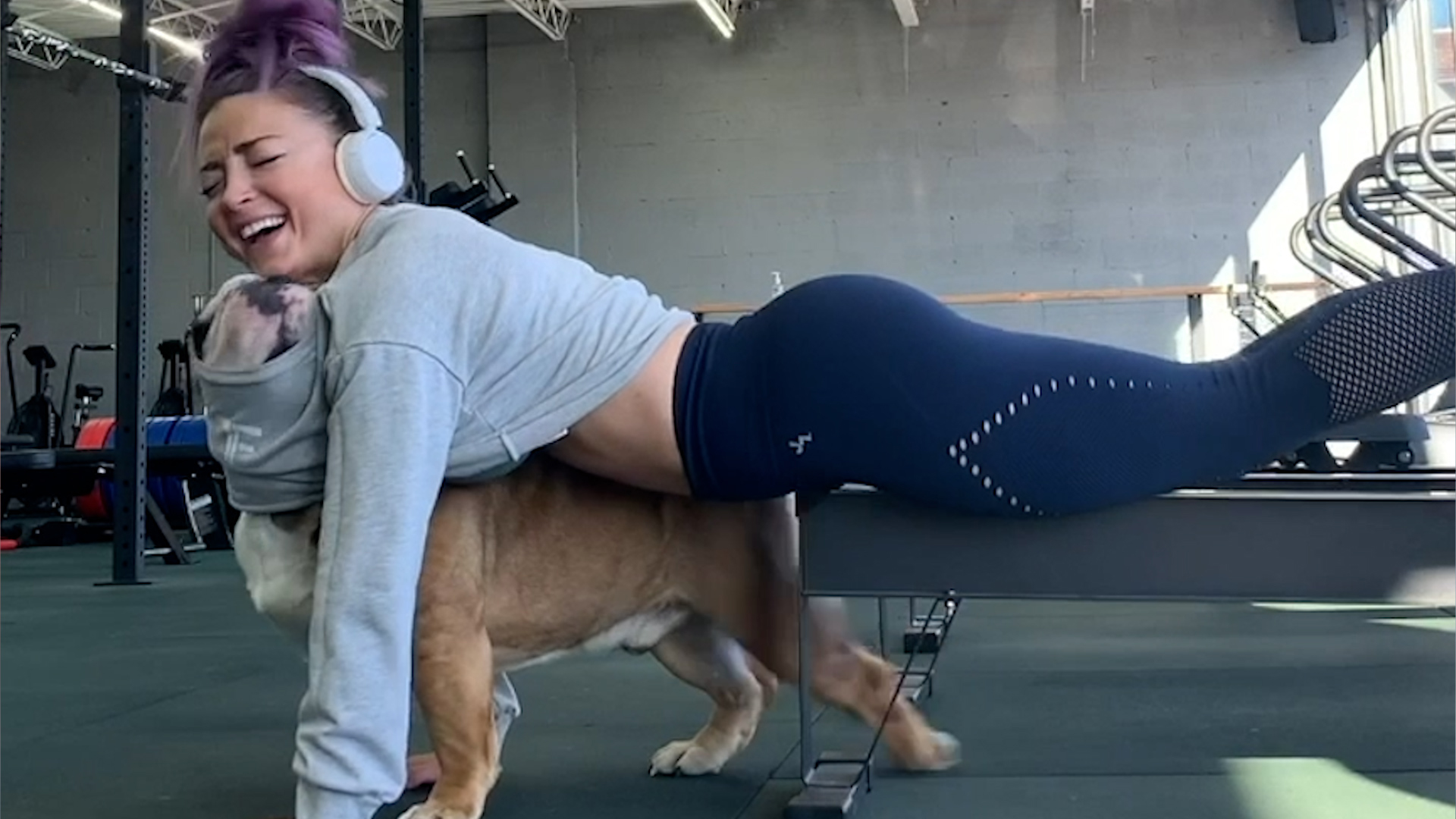 Best Pets of the Month