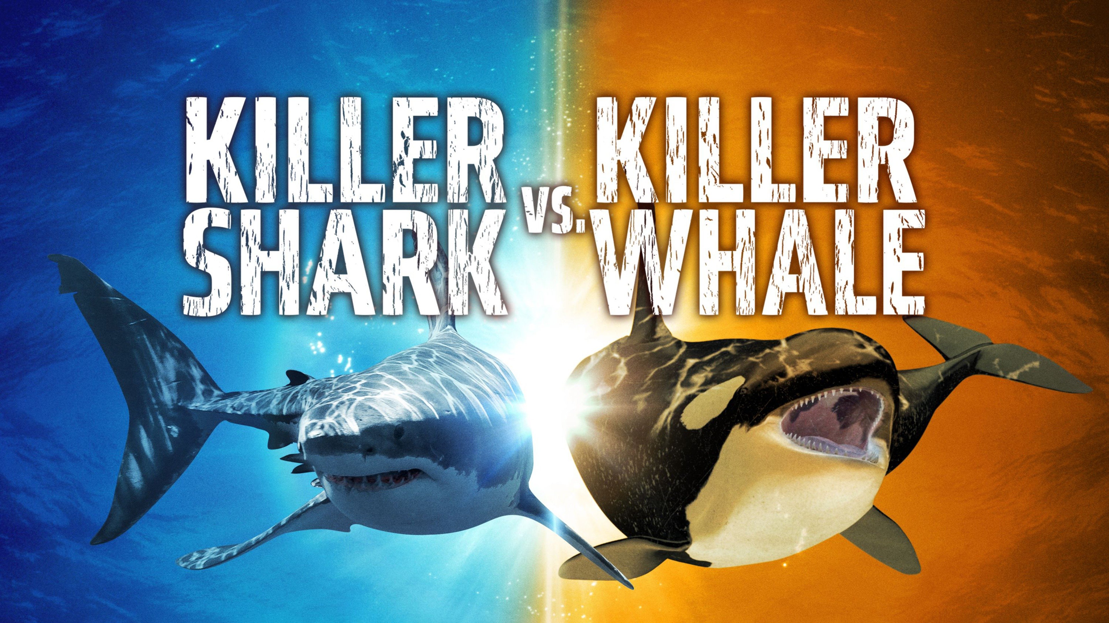 Killer Shark vs. Killer Whale
