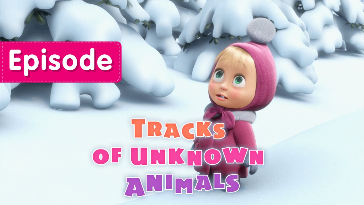 Tracks Of Unknown Animals