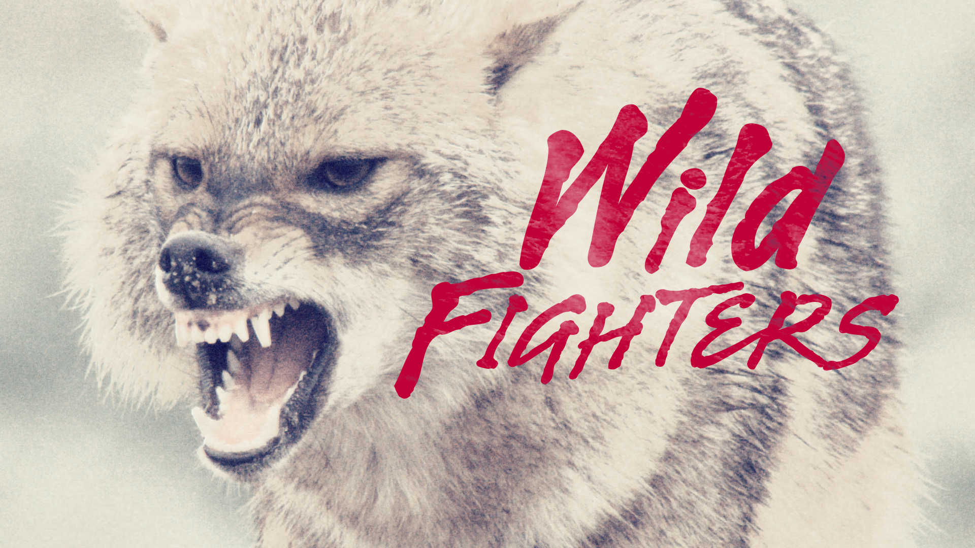 Wild Fighters