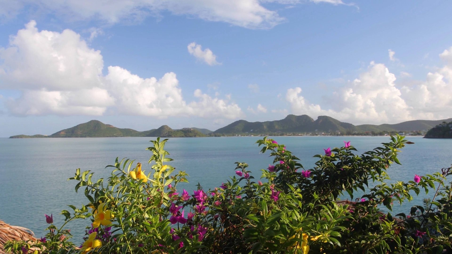 A Day in the Caribbean 1