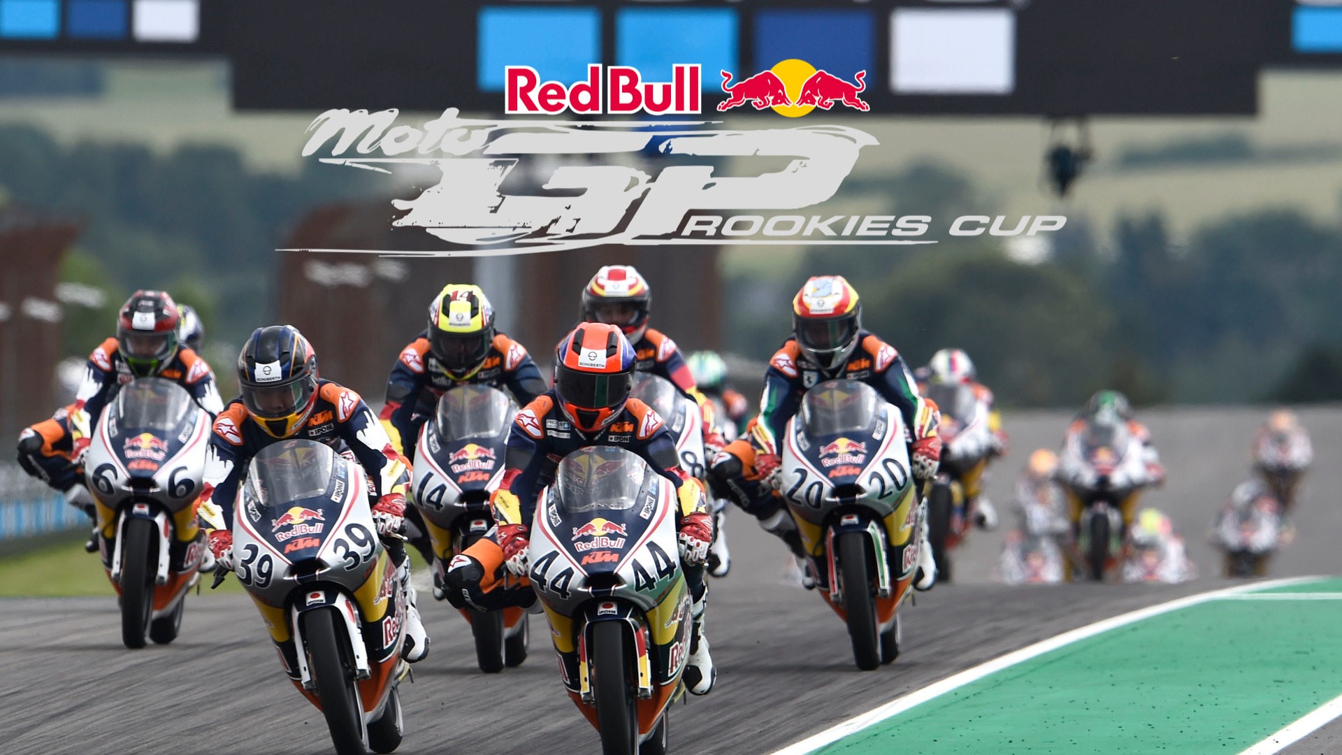 Red Bull MotoGP™ Rookies Cup Race 9 - Replay