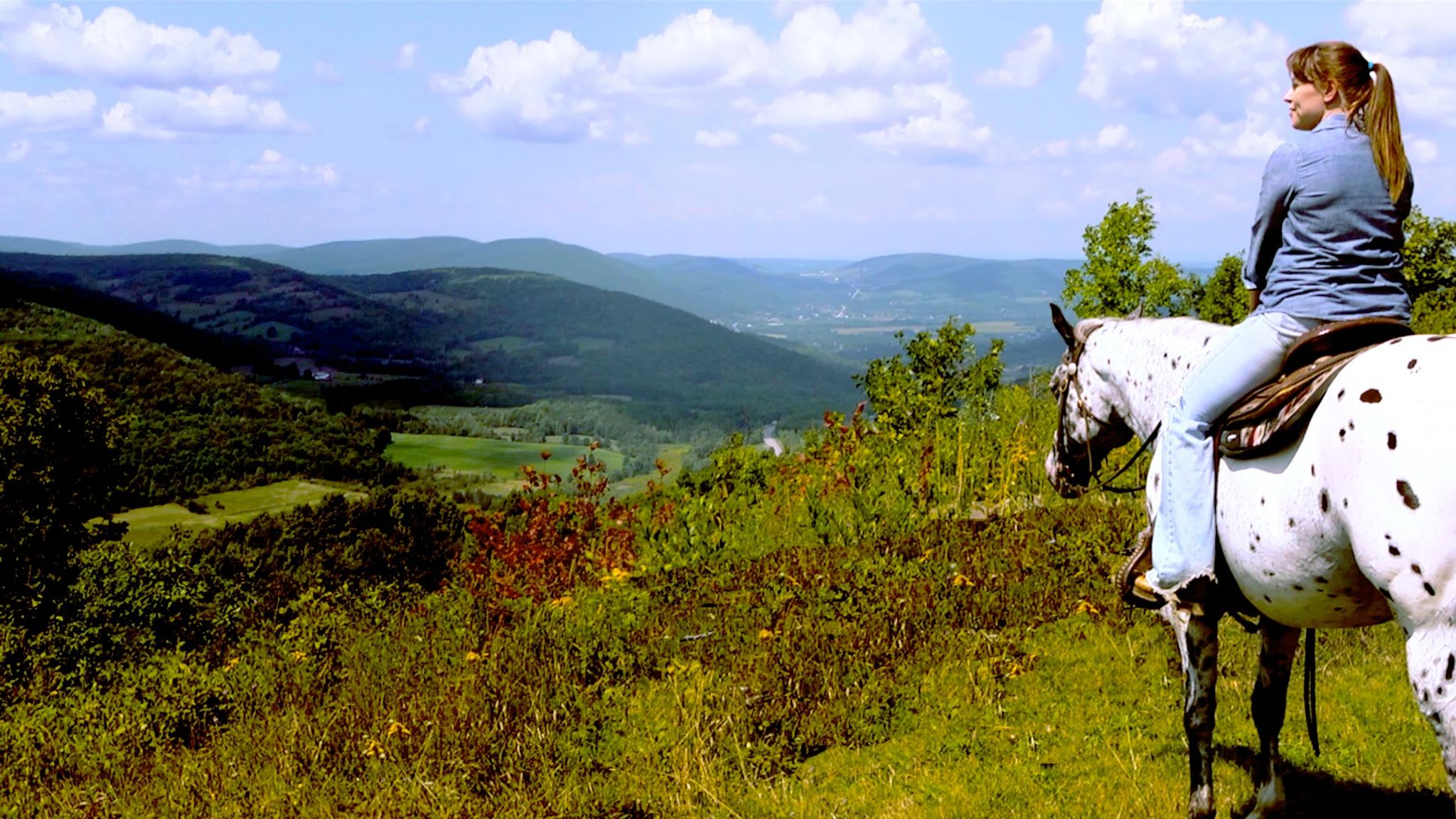 Welcome to Happy Valley