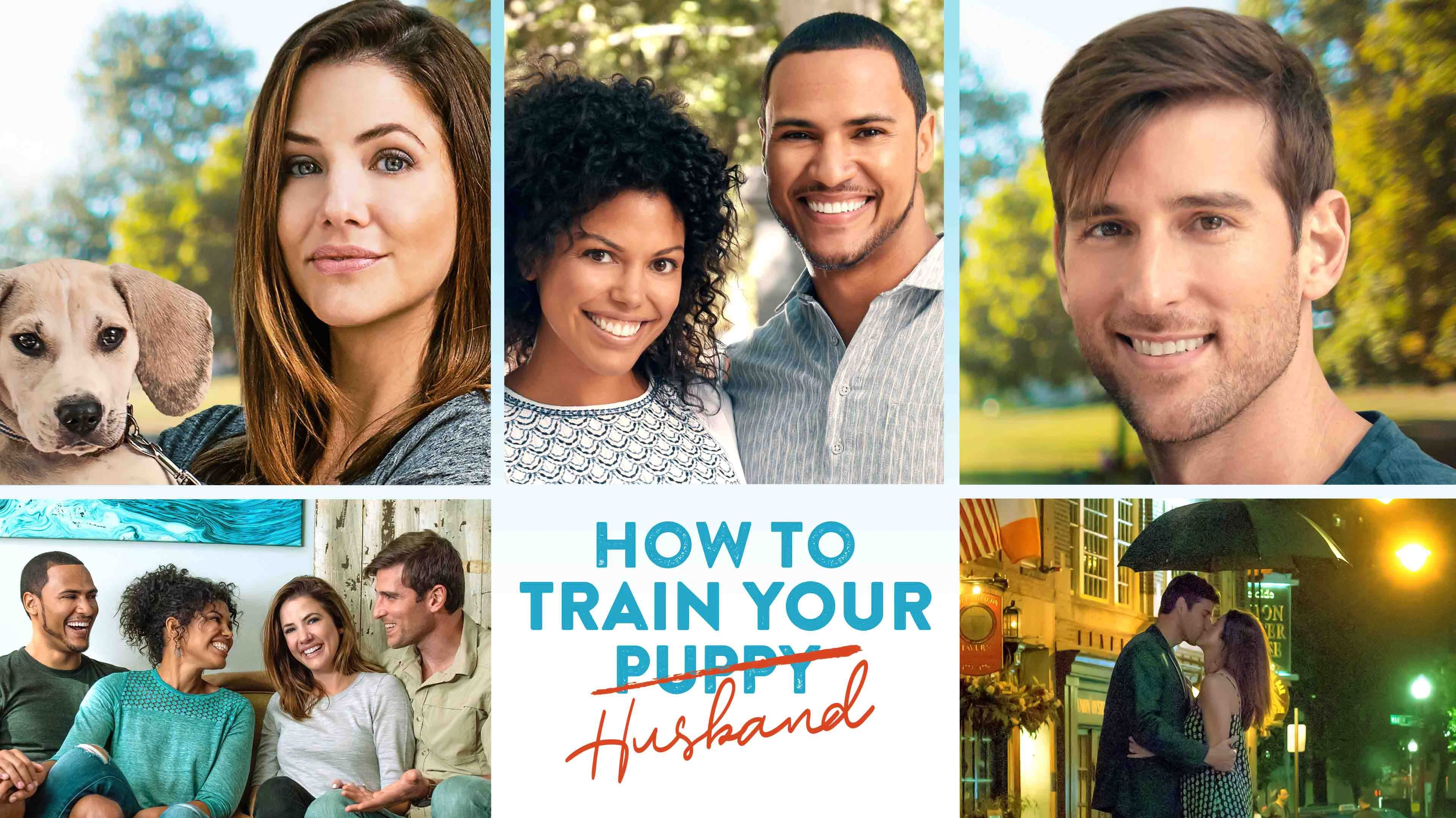 How to Train Your Husband