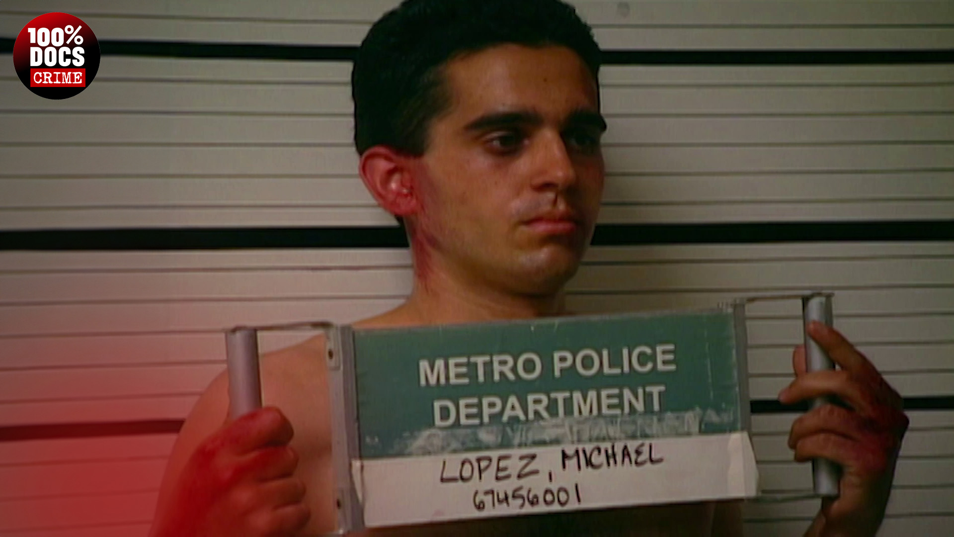 THE PROSECUTORS : IN PURSUIT OF JUSTICE