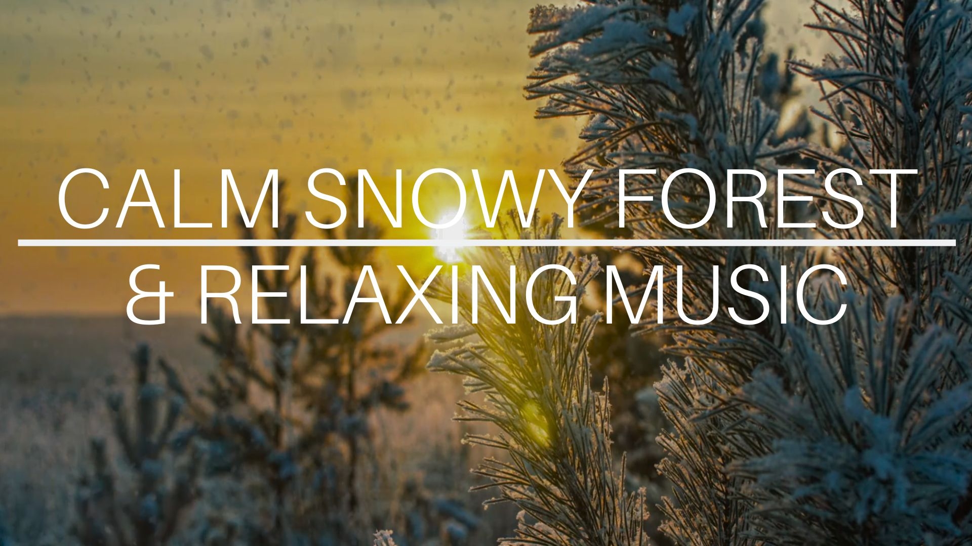 Calm Snowy Forest & Relaxing Music