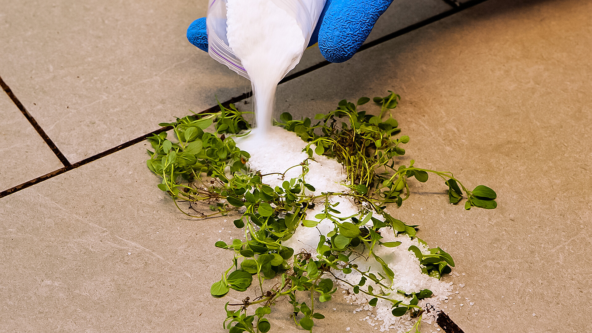 Cortar a tajos ¡te va a encantar!