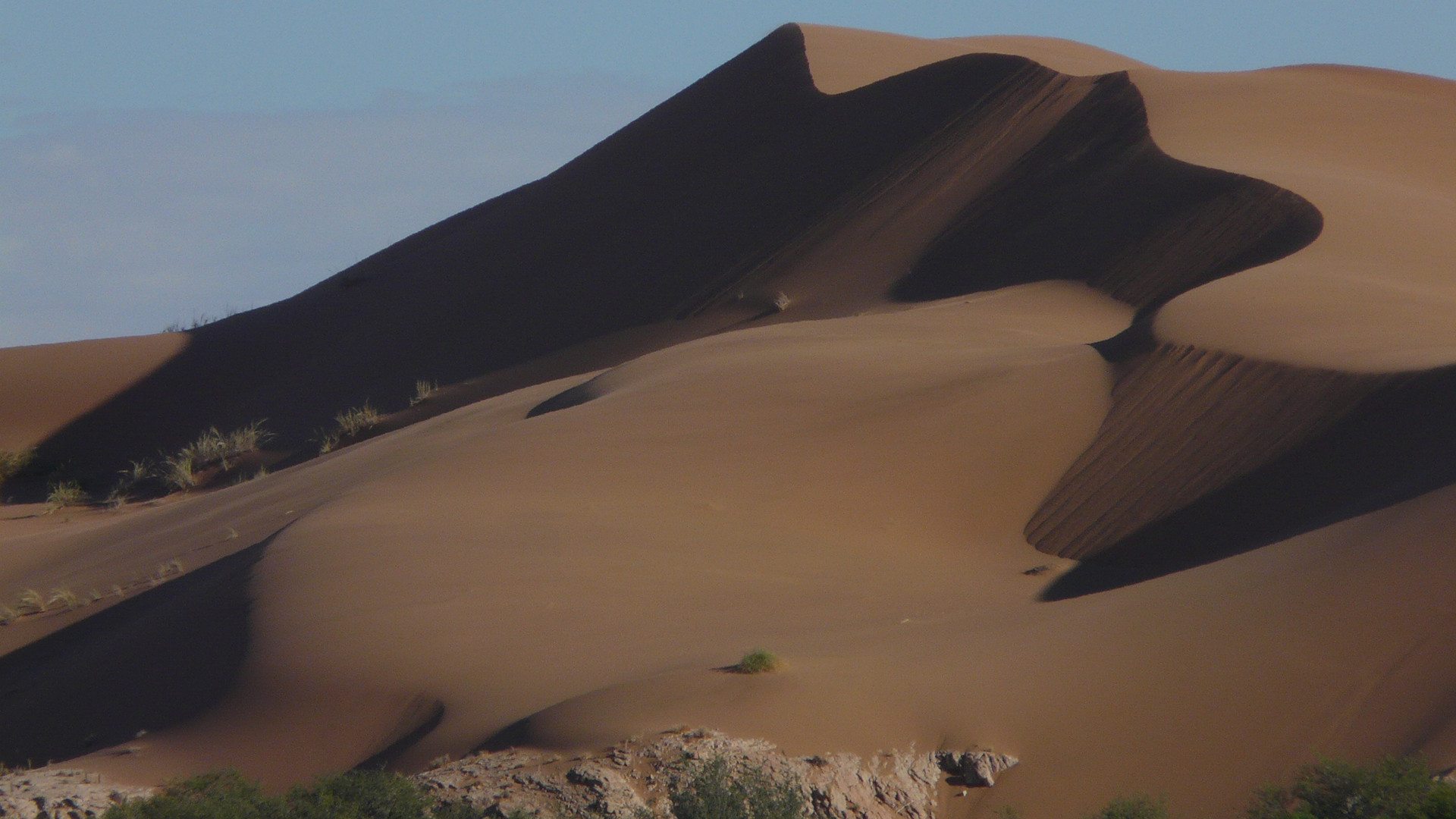 Abenteuer Namib (1)