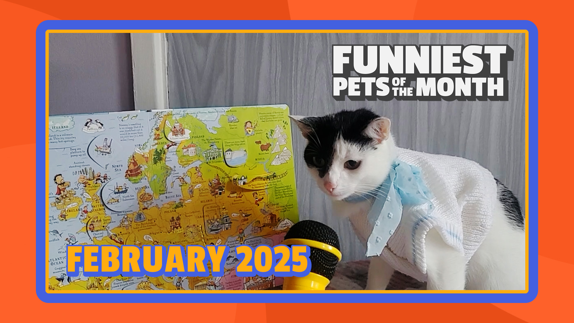 Funniest Pets of the Month