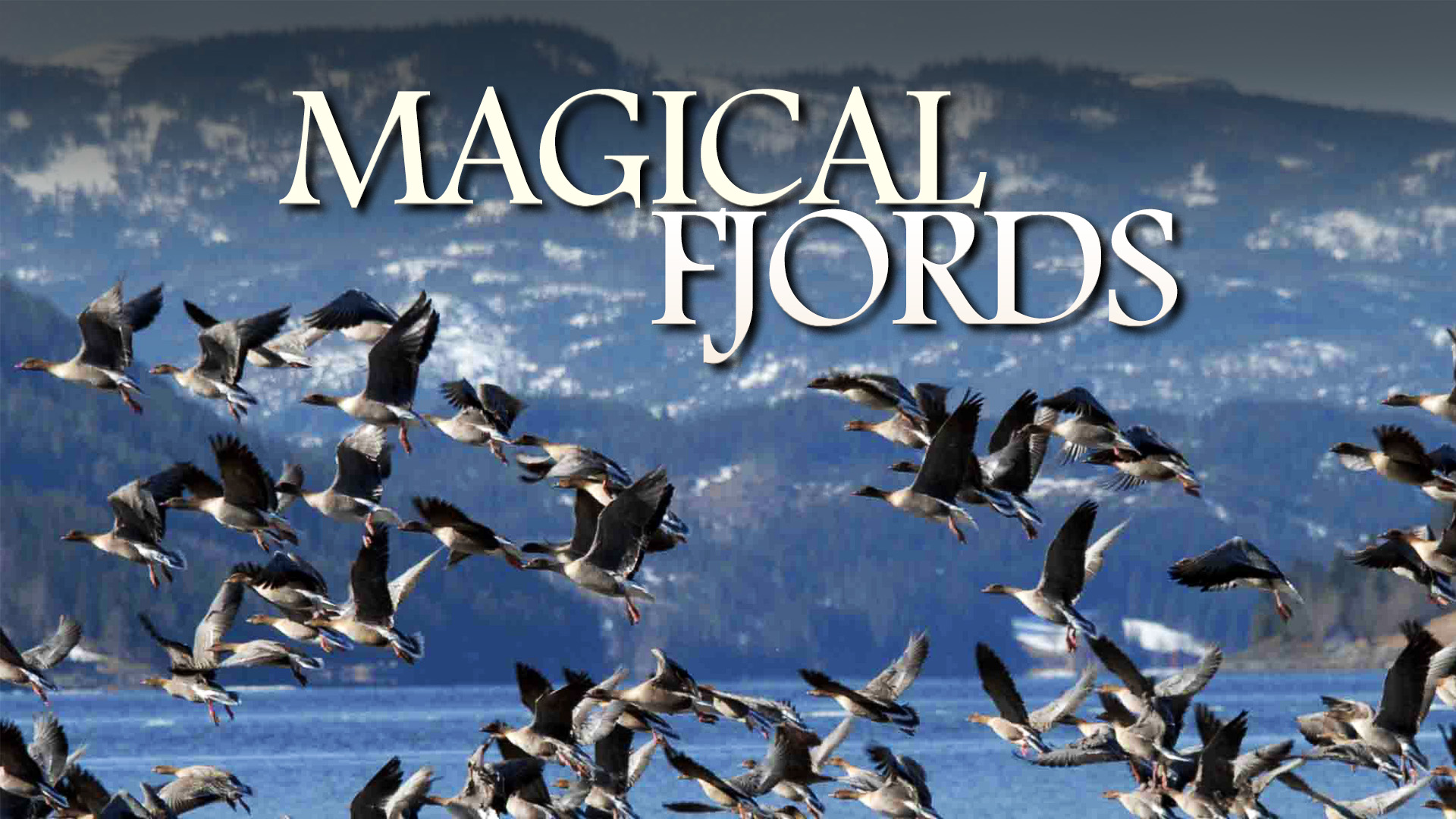 Magical Fjords