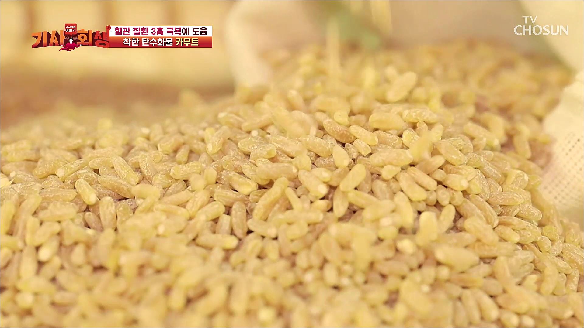 다시 사는 이야기 기사회생 26회