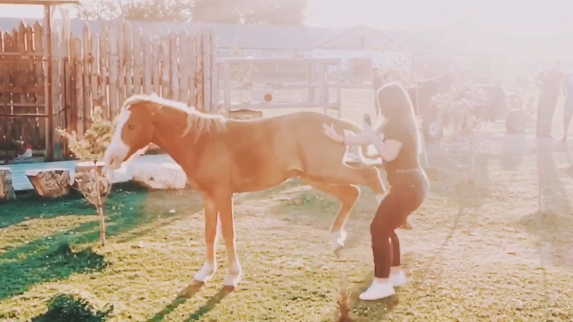 Best Fails of the Month