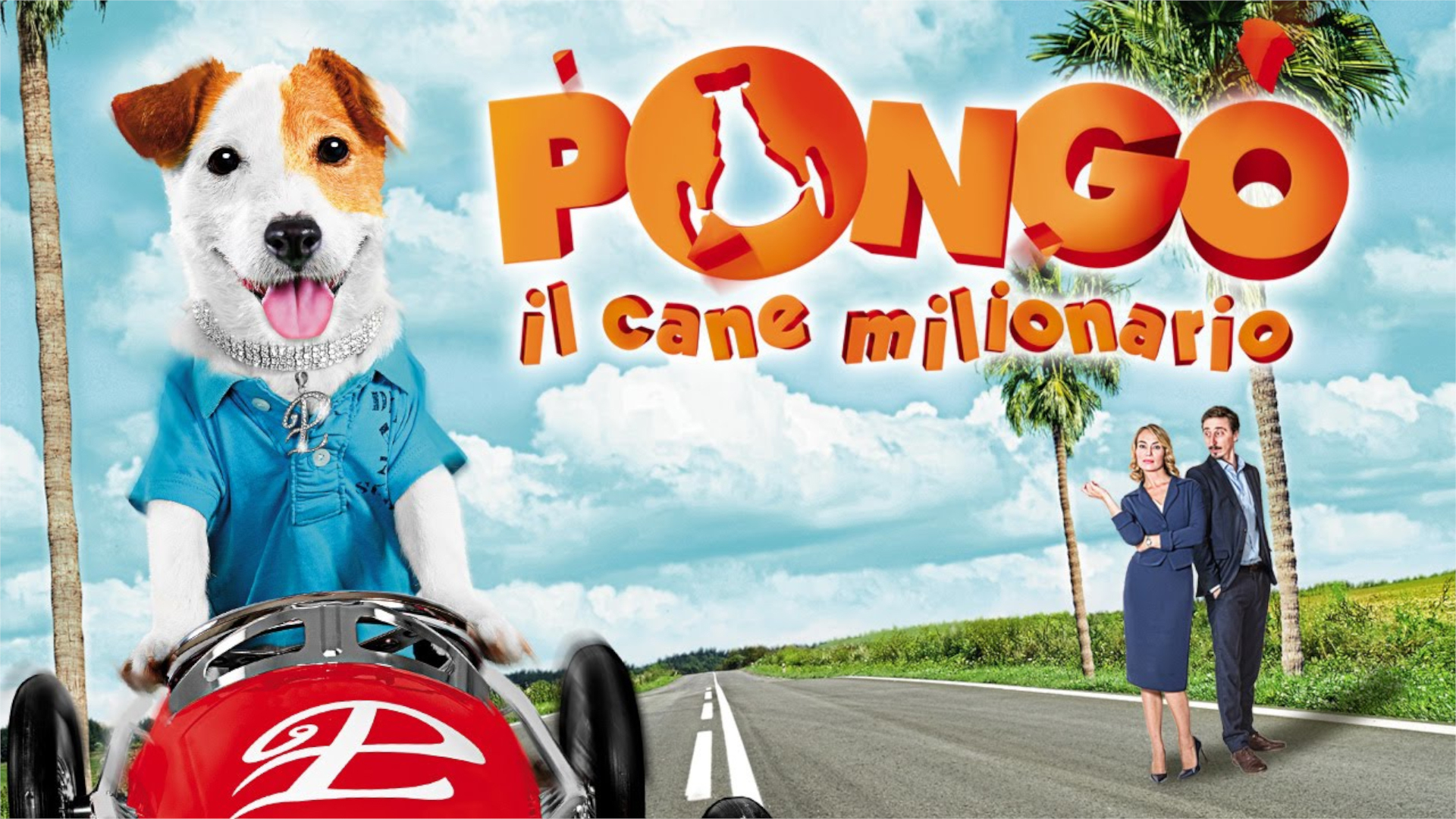 Pongo