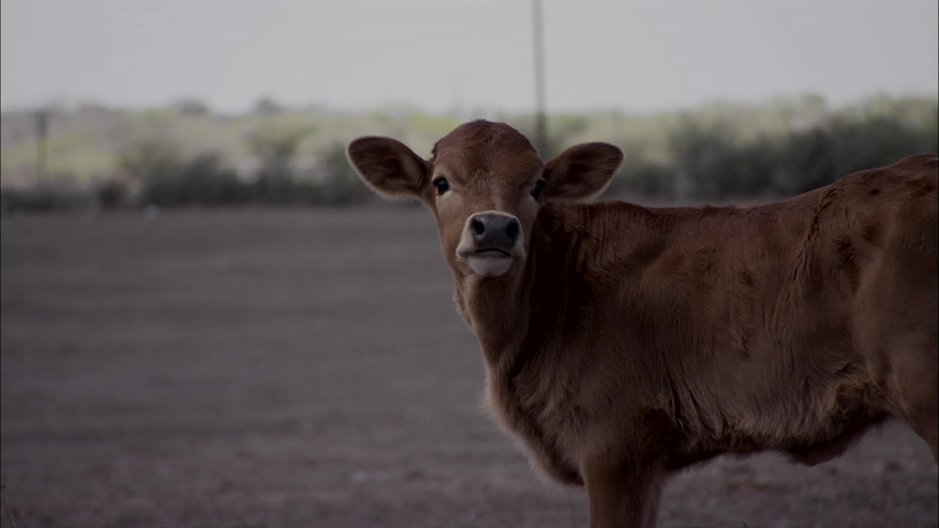 S1 E9 The Road to Nowhere