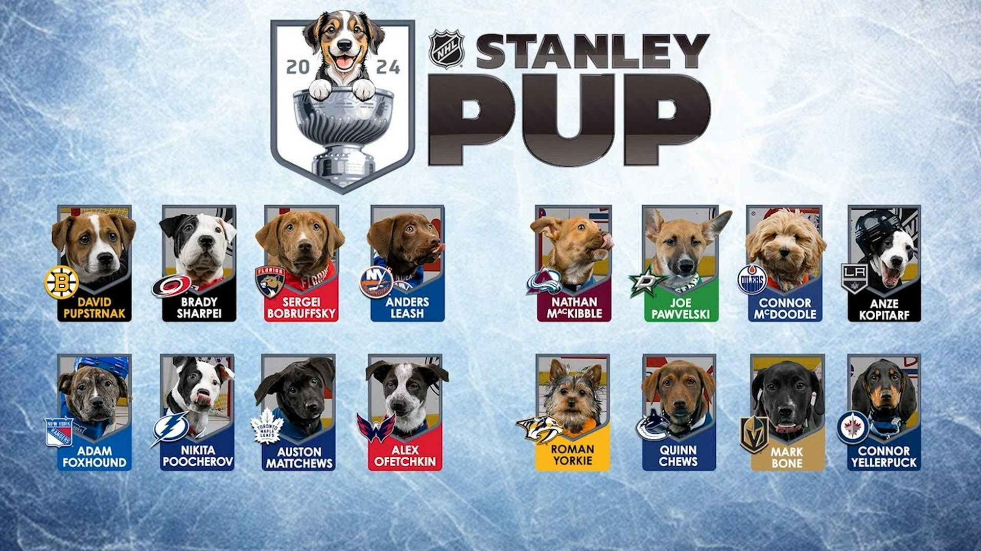 2024 Stanley Pup