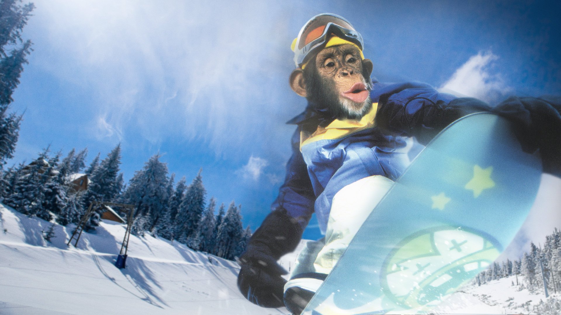 MXP: Most Xtreme Primate