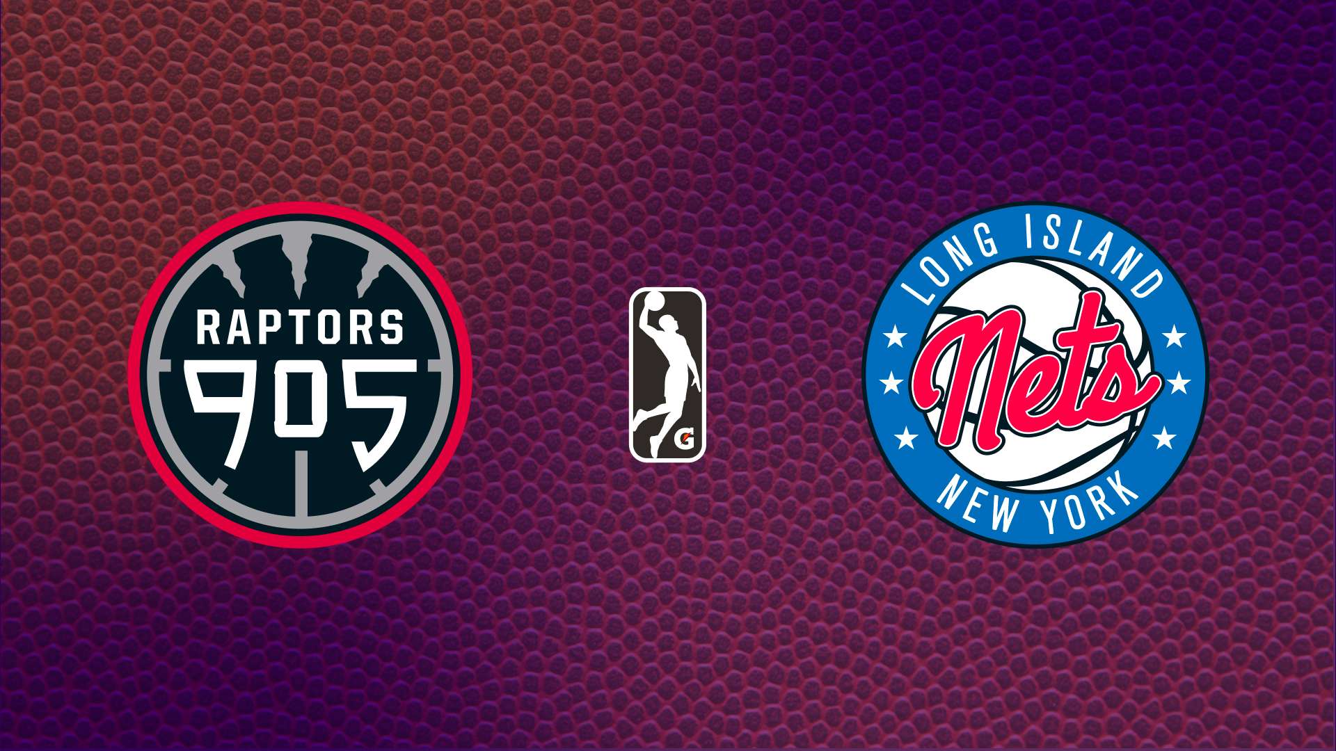 Raptors 905 at Long Island Nets