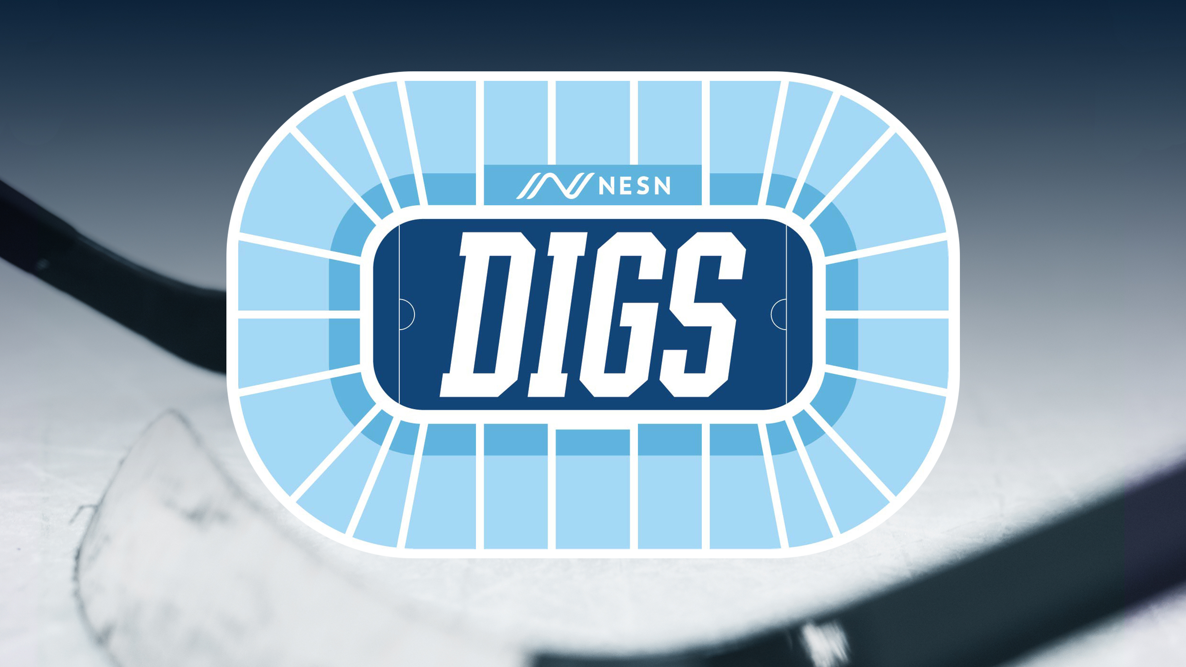 NESN Digs